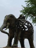 Elephant Statue Online India